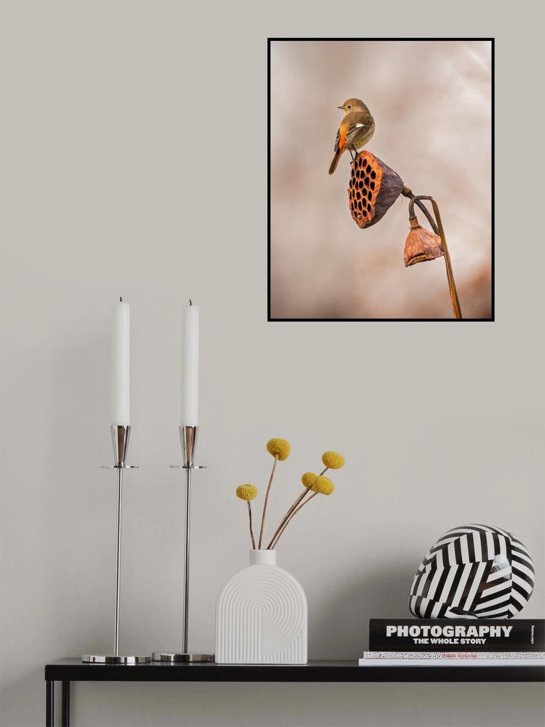 Looking into the distance Poster och Canvastavla