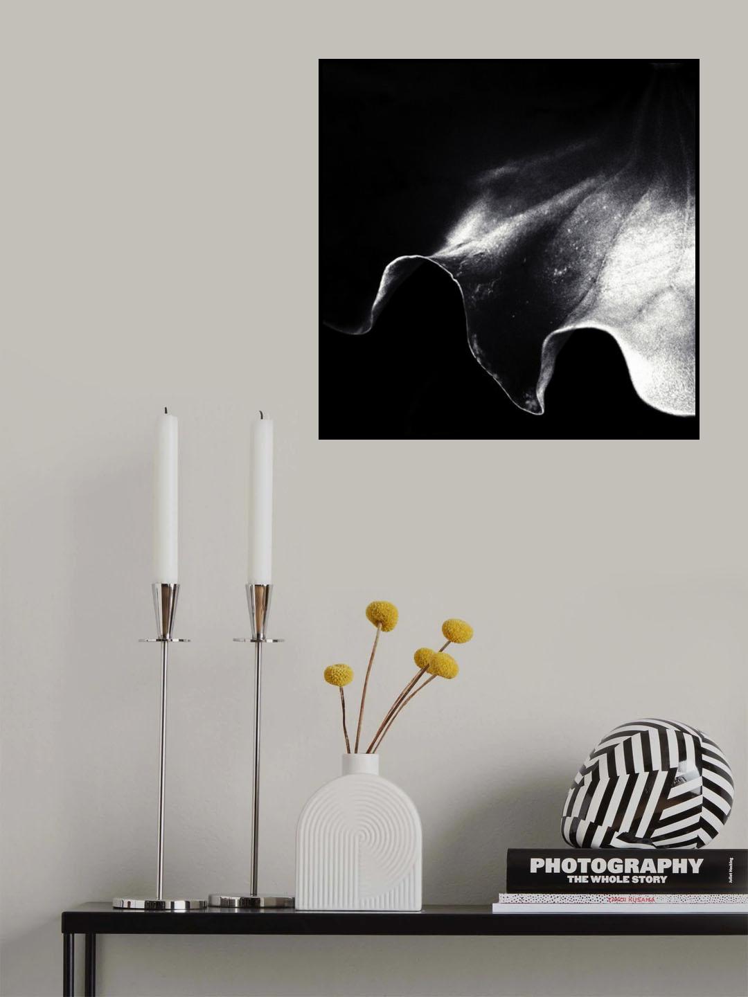 a kiss of light Poster och Canvastavla