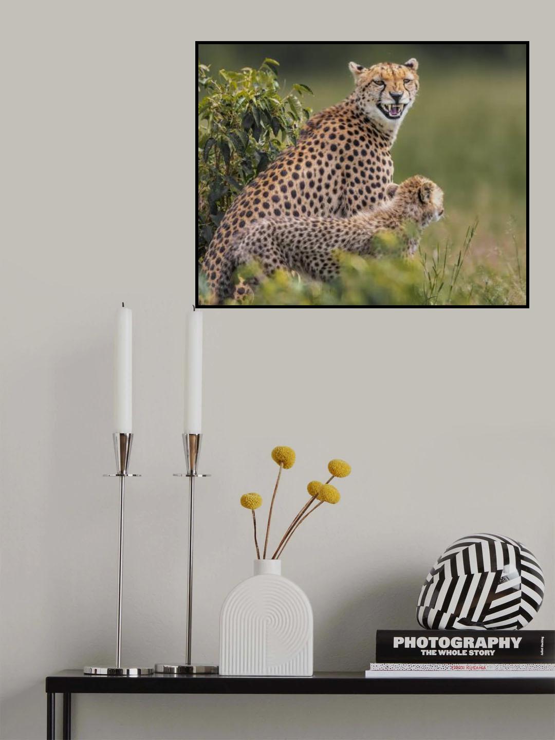 Big smile Poster och Canvastavla
