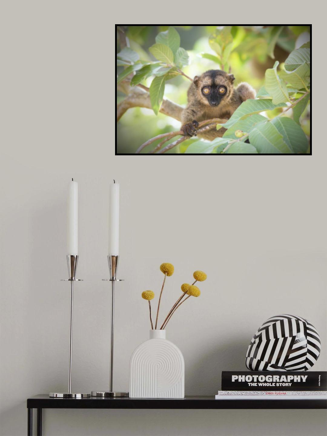 Lemurian Poster och Canvastavla