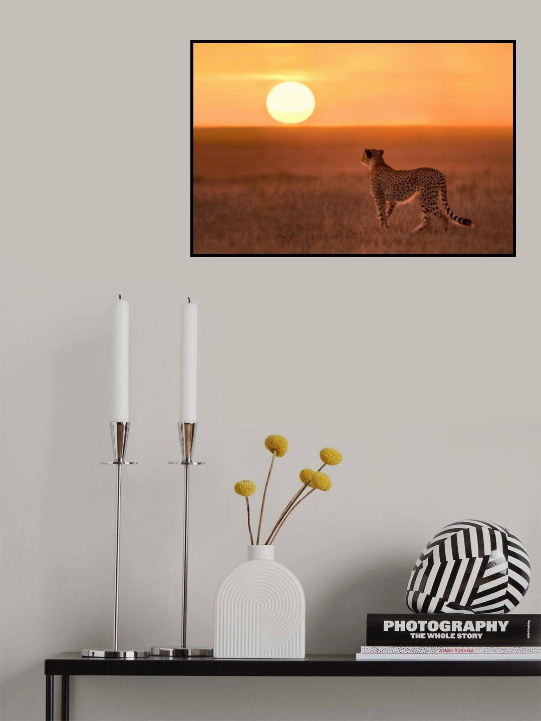 New day in Mara Plains Poster och Canvastavla