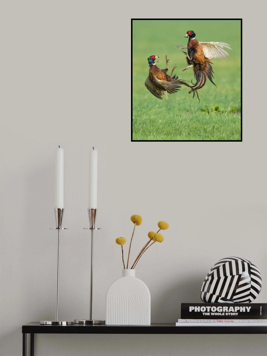 Feathered dispute Poster och Canvastavla