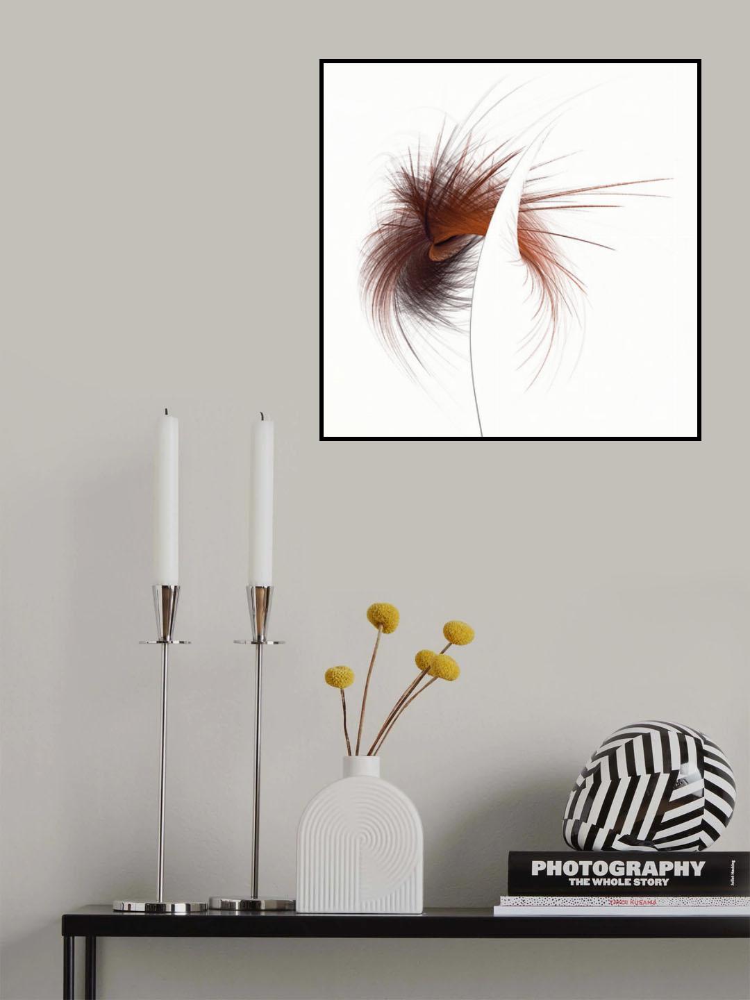 Wild Split Poster och Canvastavla