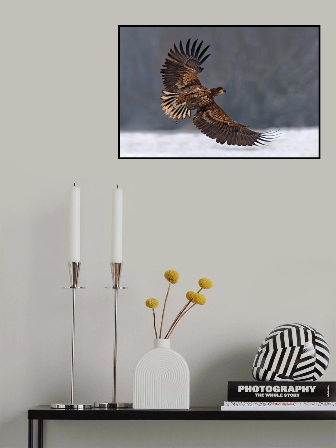 Taking off Poster och Canvastavla