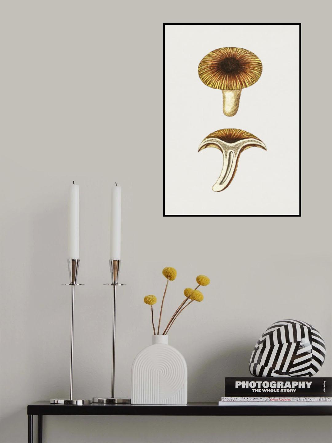 Vintage Chanterelles Edible Mushroom Poster och Canvastavla