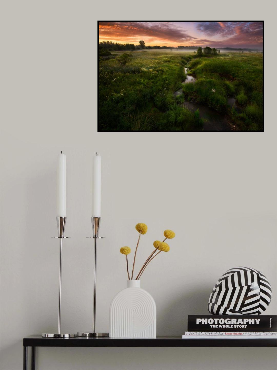 Morning on Kes'ma River Poster och Canvastavla