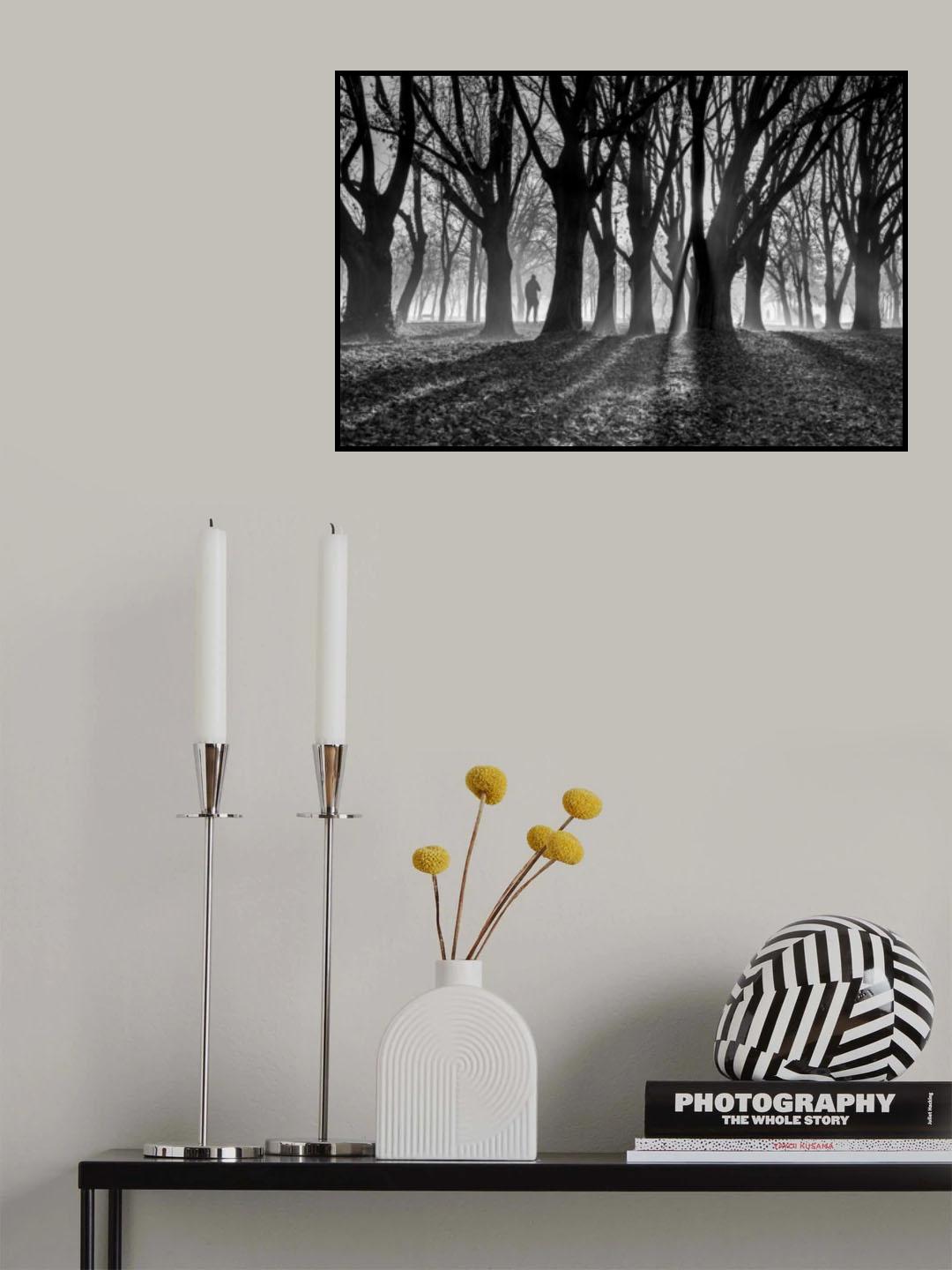 The light of winter morning Poster och Canvastavla