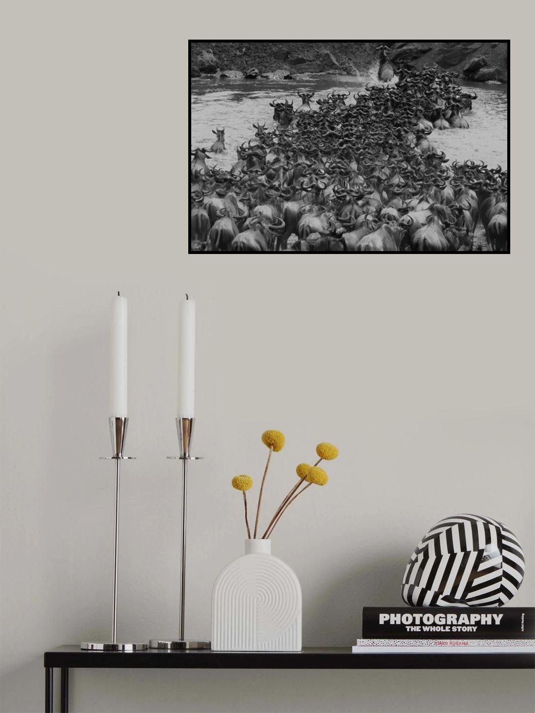 Crossing Mara River Poster och Canvastavla