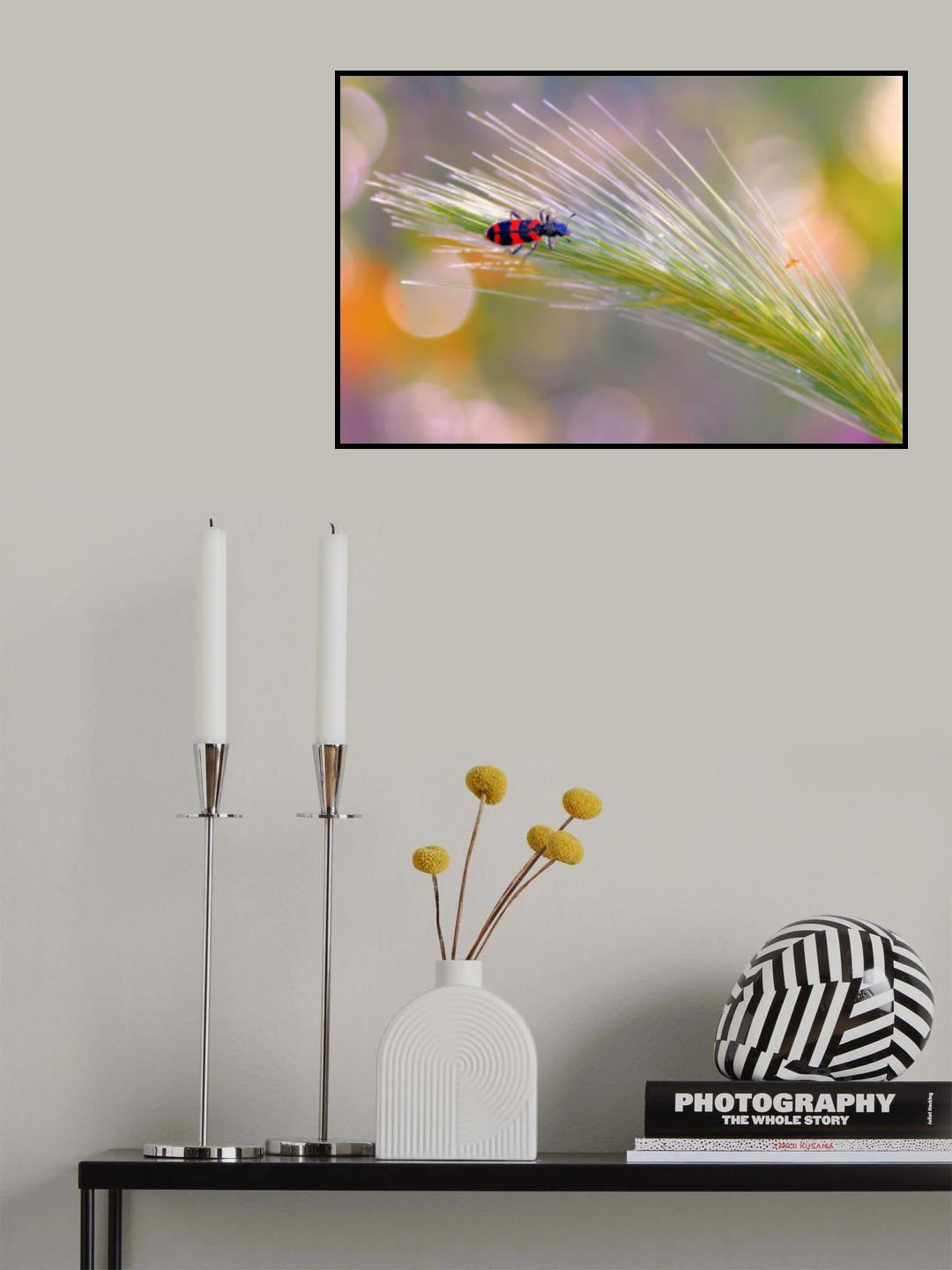 In the light of the seasons... Poster och Canvastavla