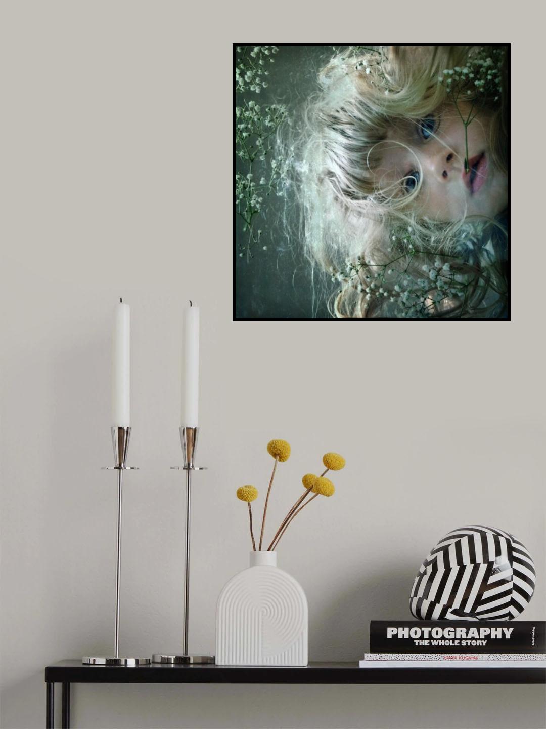 daydreams Poster och Canvastavla