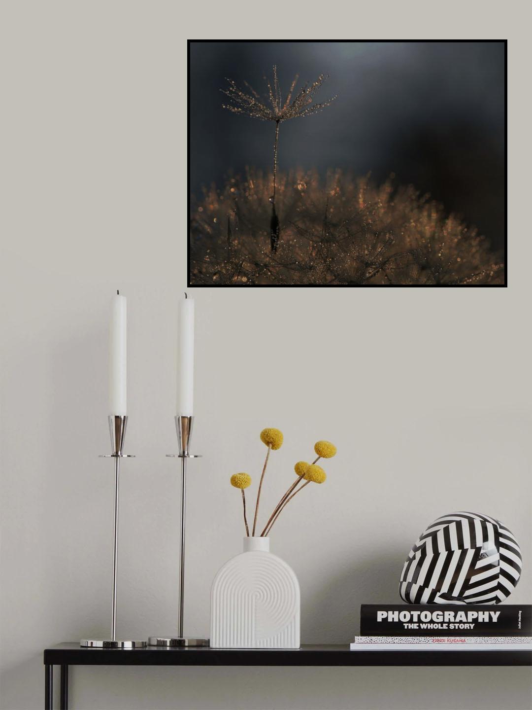 Standing toward the light... Poster och Canvastavla