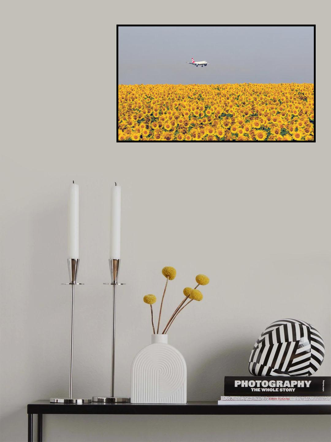 sunflowers Poster och Canvastavla