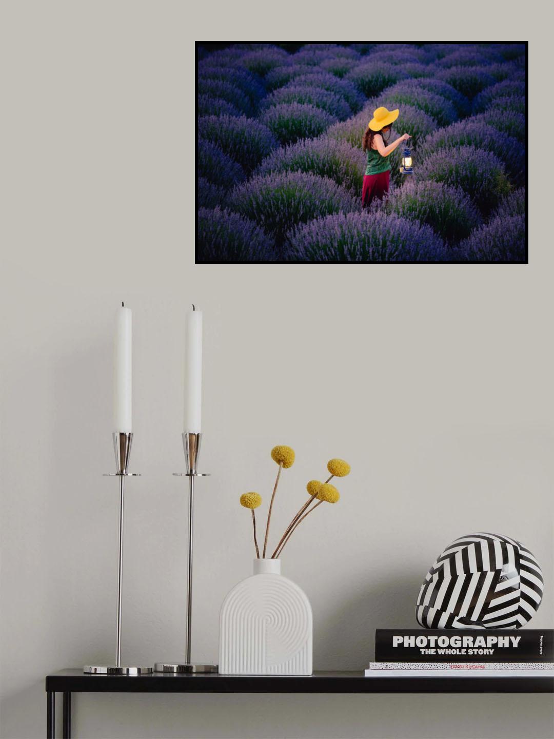 Lavender Poster och Canvastavla