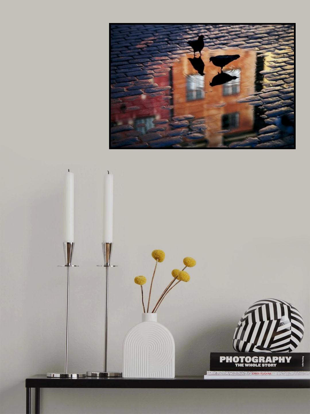 Pigeons Poster och Canvastavla