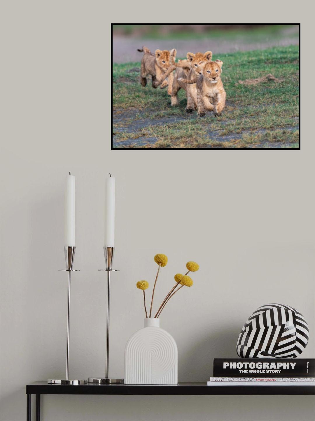 Follow the leader? Poster och Canvastavla