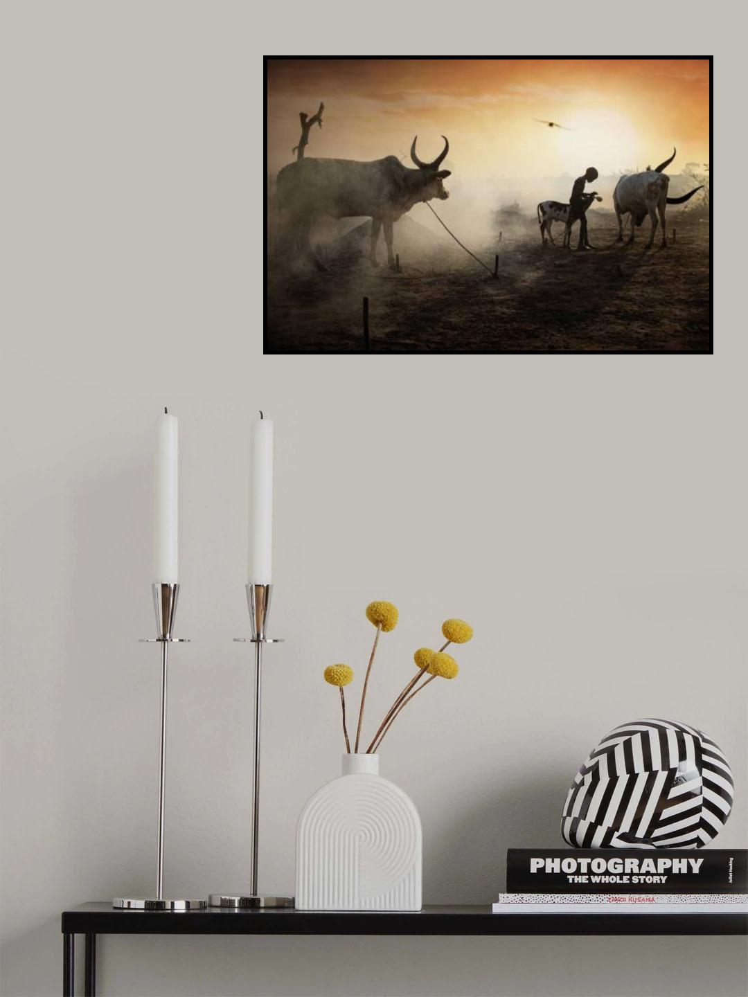Caring for Mundari's animals Poster och Canvastavla