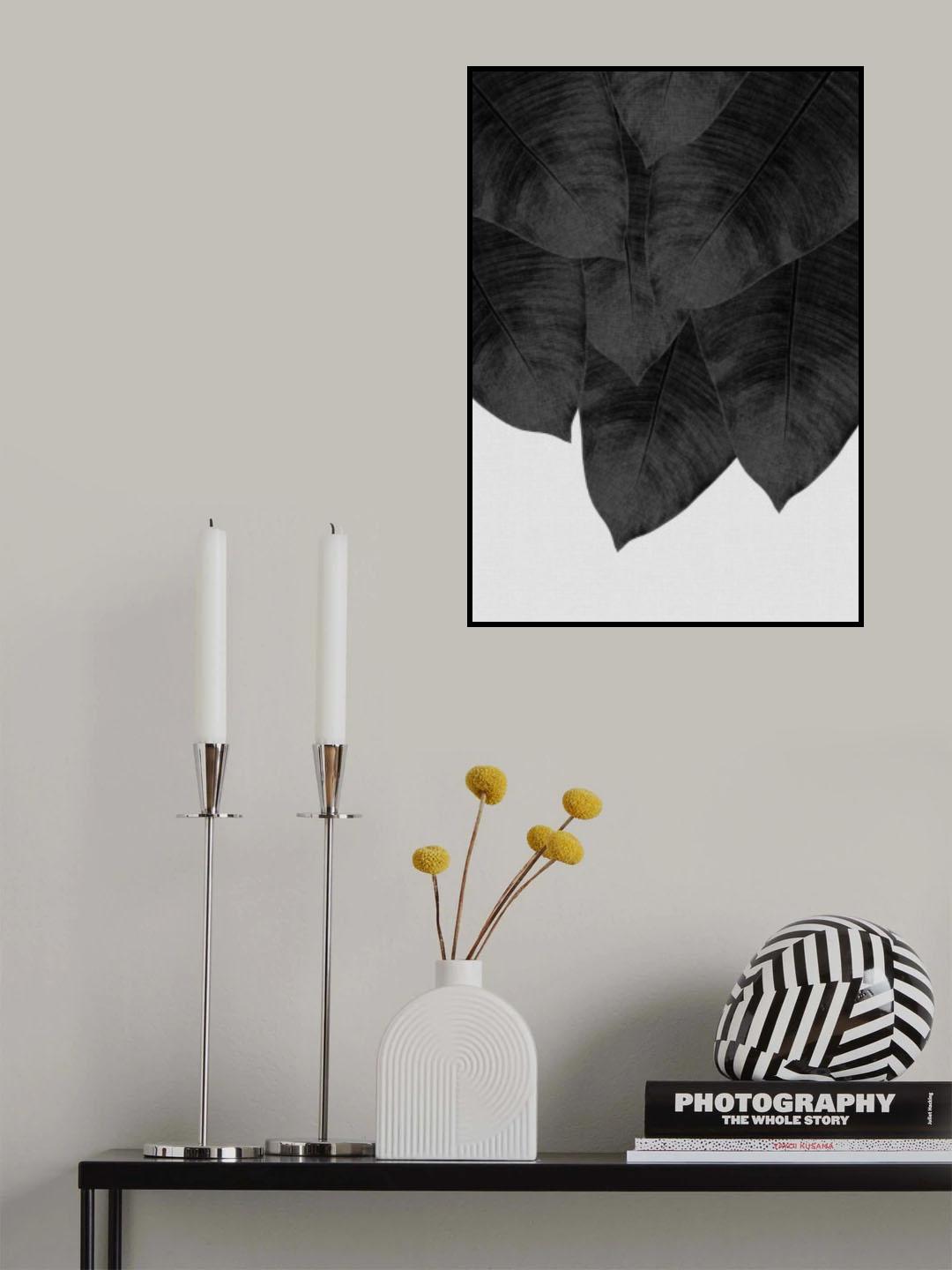 Banana Leaf Black & White III Poster och Canvastavla