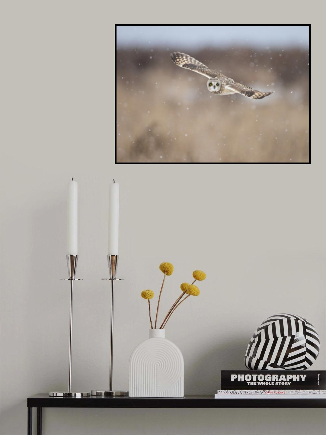 Flying with Snow Poster och Canvastavla