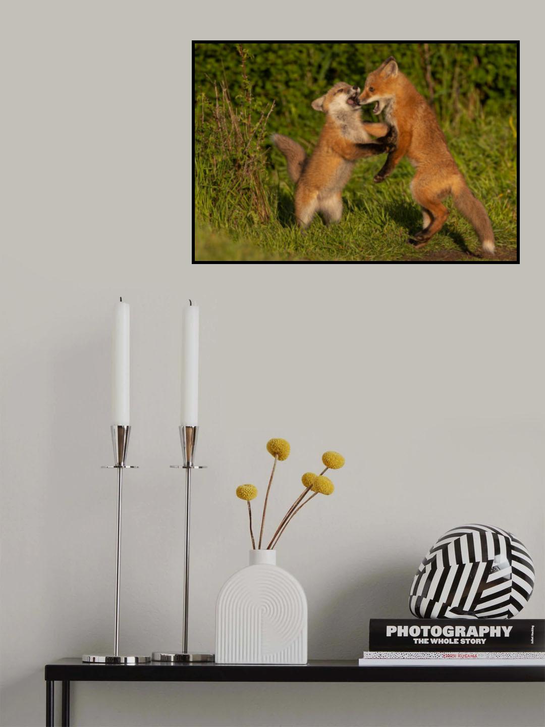 Red fox Poster och Canvastavla