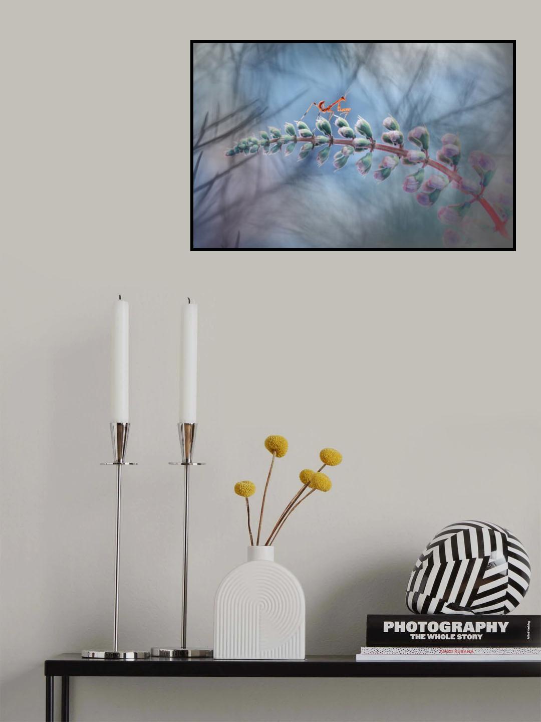 DREAM Poster och Canvastavla