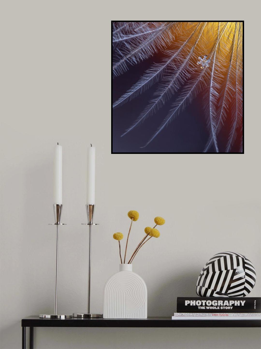 Ice and flame Poster och Canvastavla