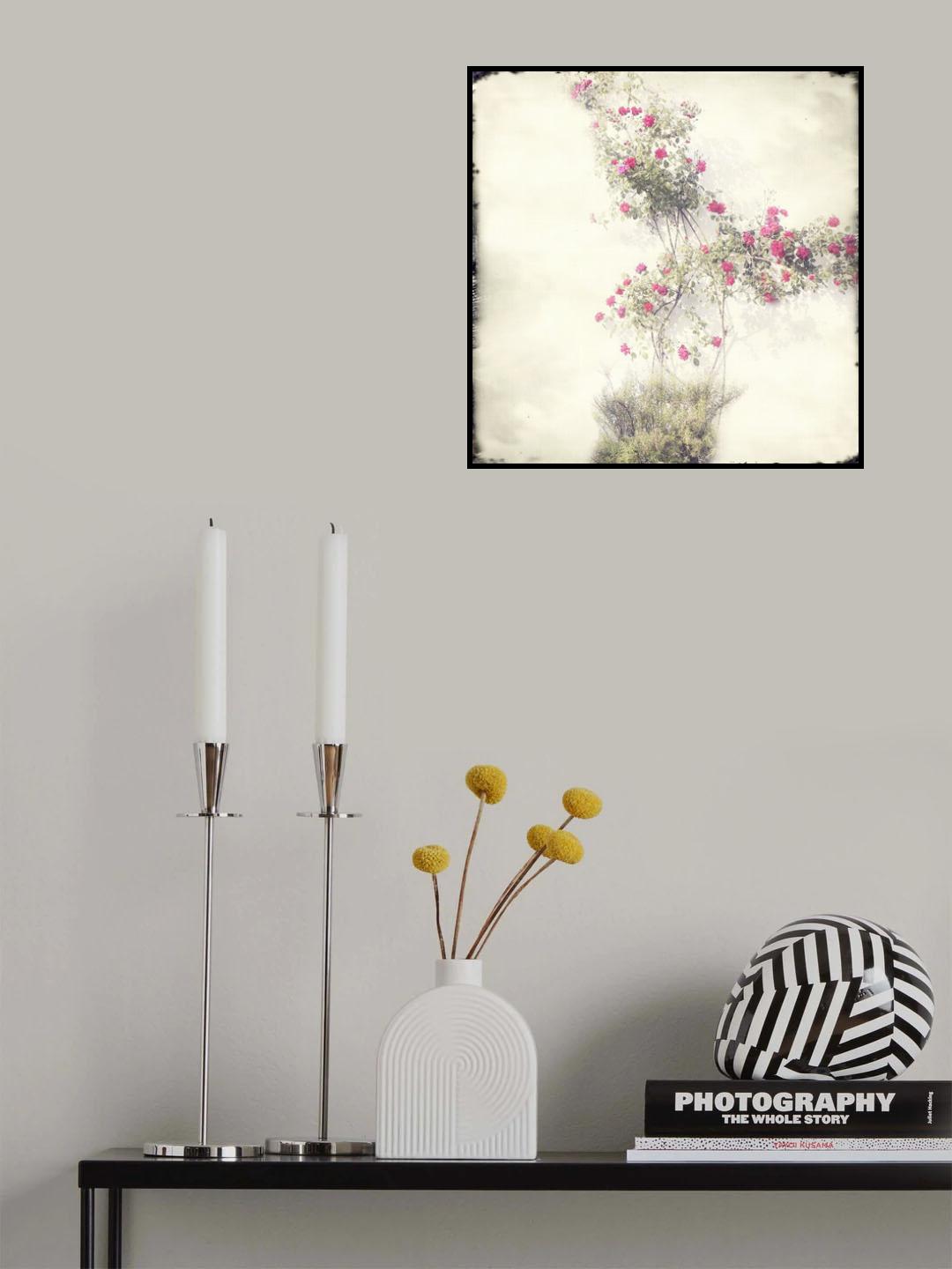 roses Poster och Canvastavla