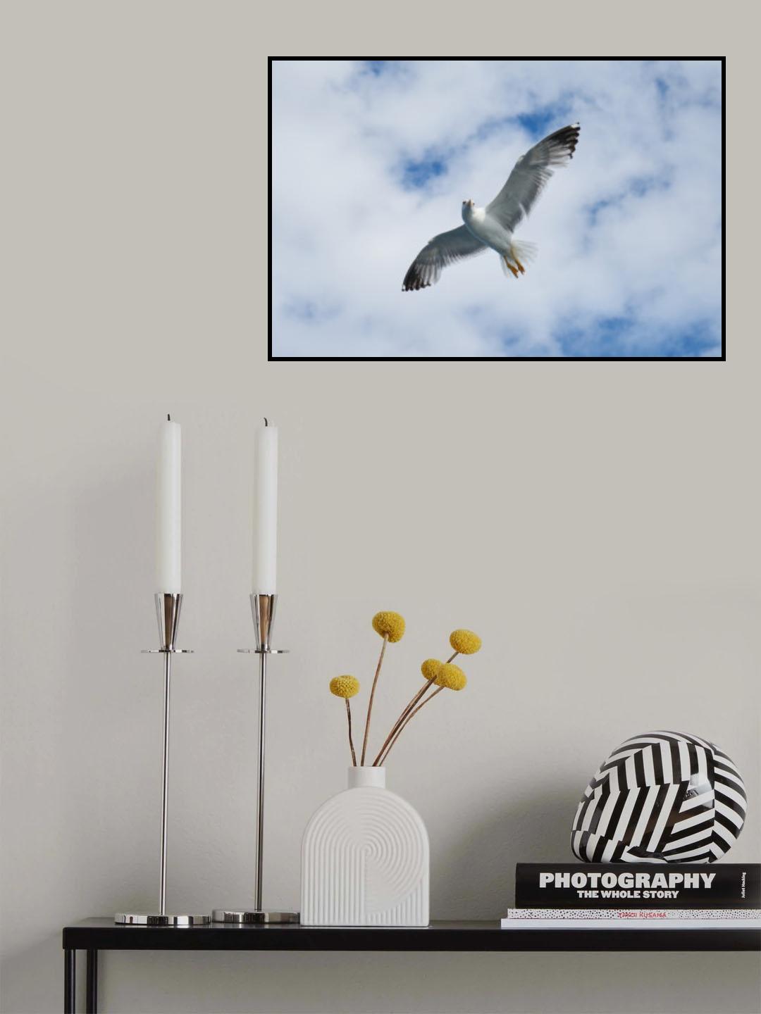 flying seagull Poster och Canvastavla