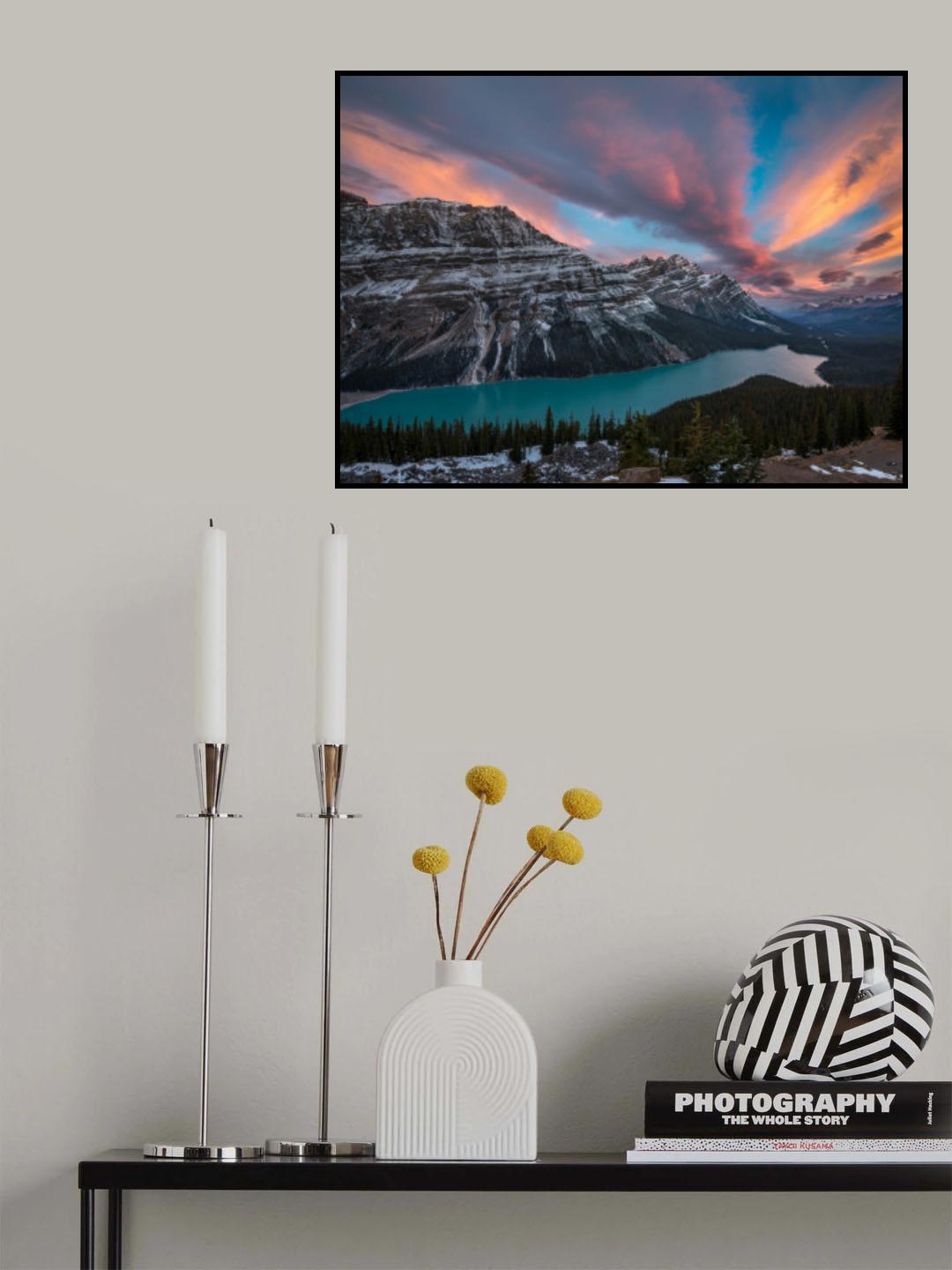 Just before sunrise - Peyto Lake Poster och Canvastavla