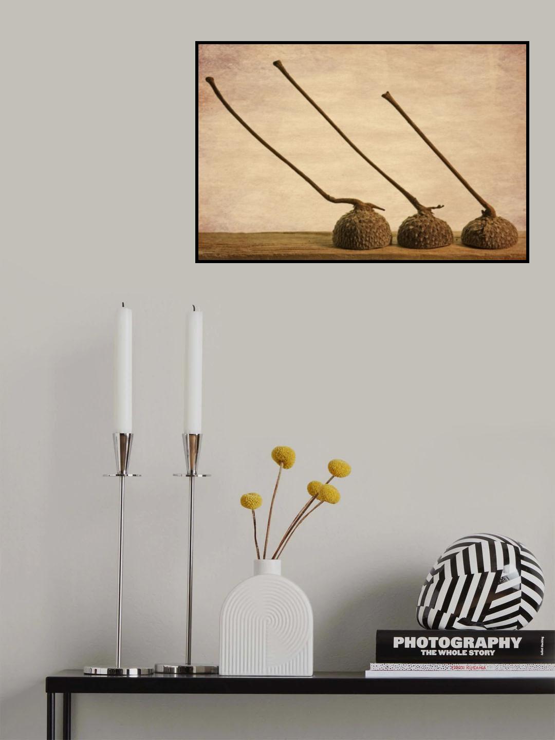 Trio Poster och Canvastavla