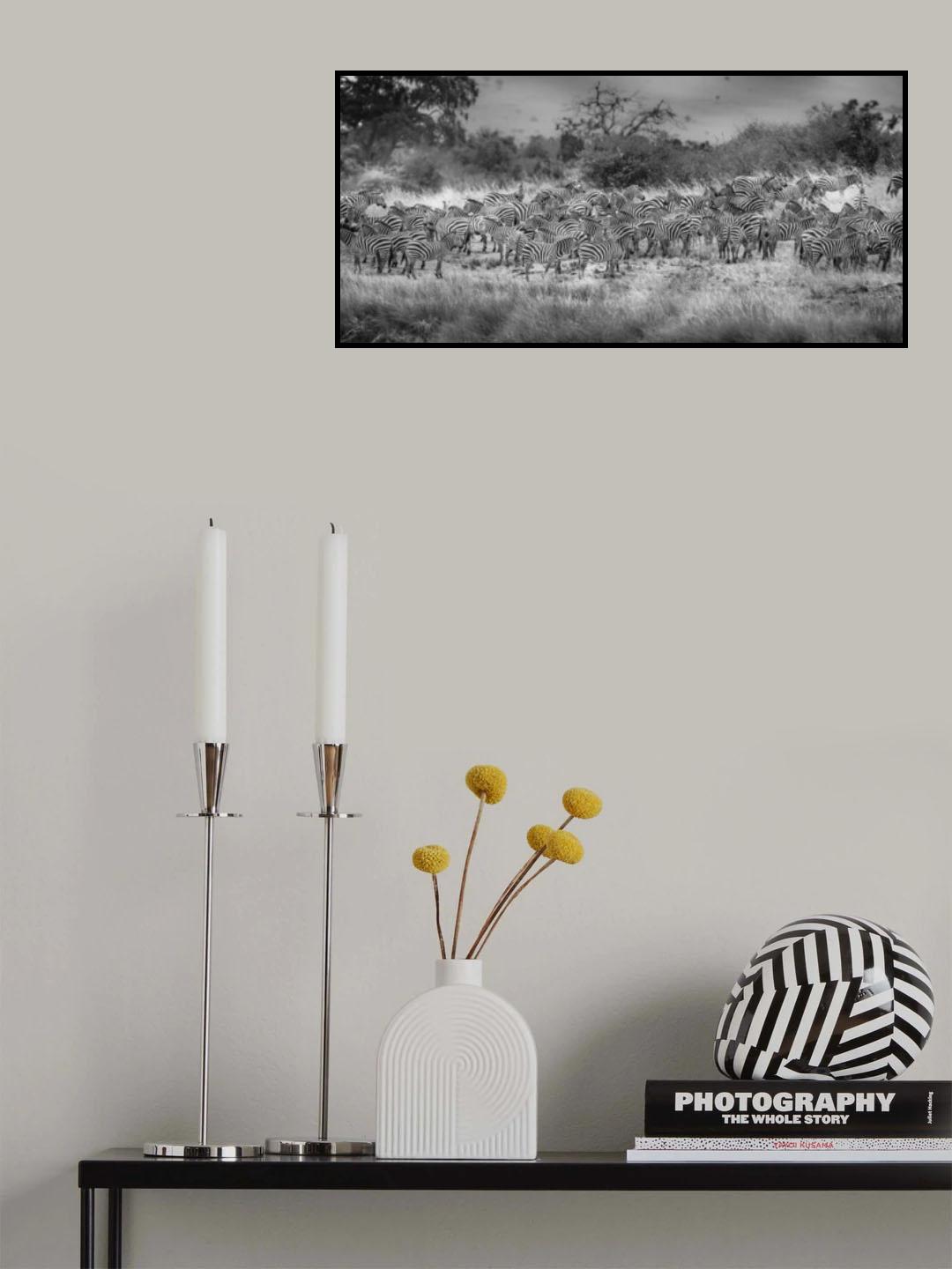 confusion Poster och Canvastavla