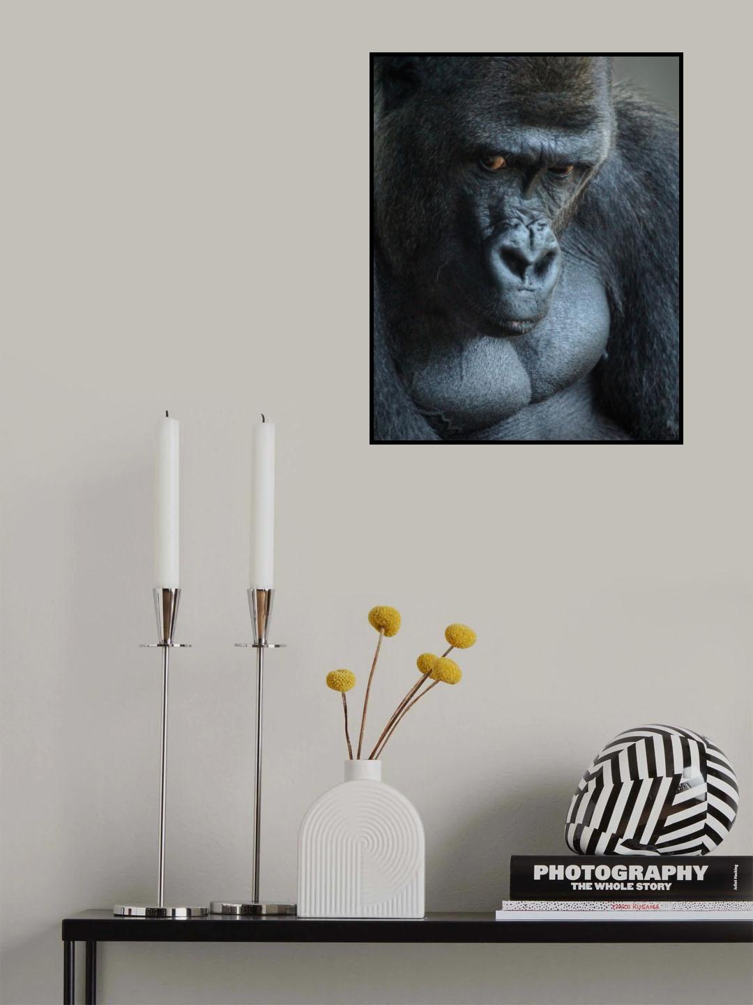 Unhappy Gorilla Poster och Canvastavla