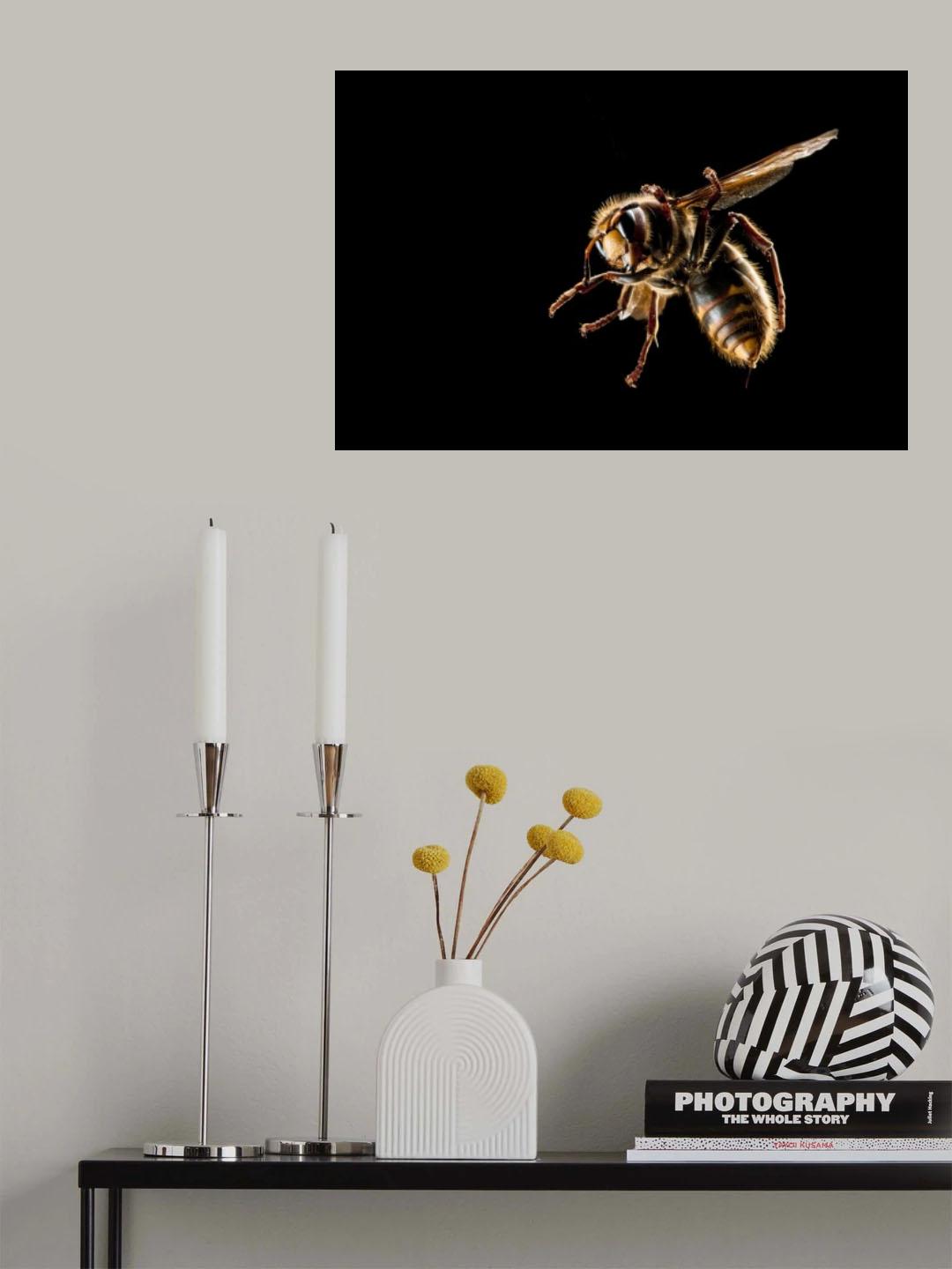 Hornet action Poster och Canvastavla