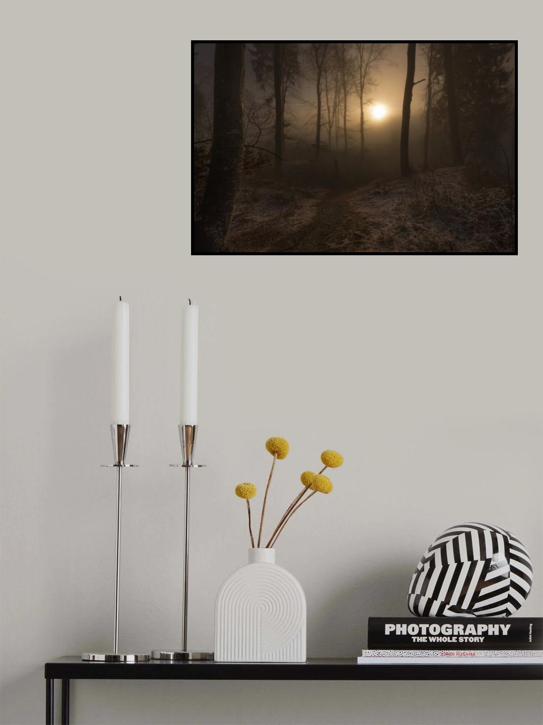 winter sunrise Poster och Canvastavla