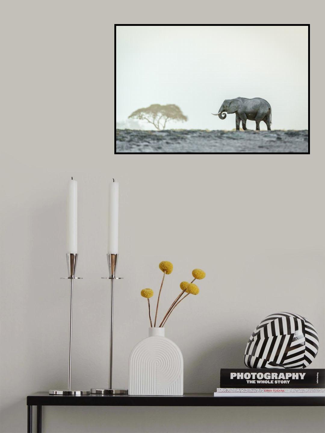 Monochromatic color Poster och Canvastavla