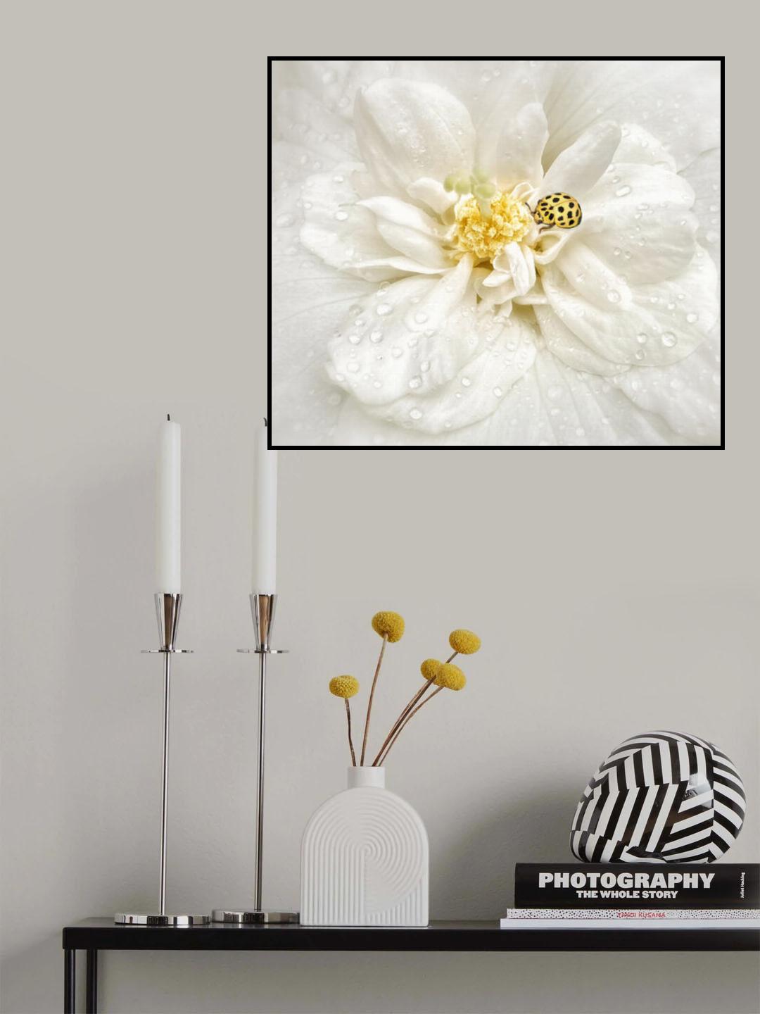 Dewdrops are the GEMS of morning Poster och Canvastavla