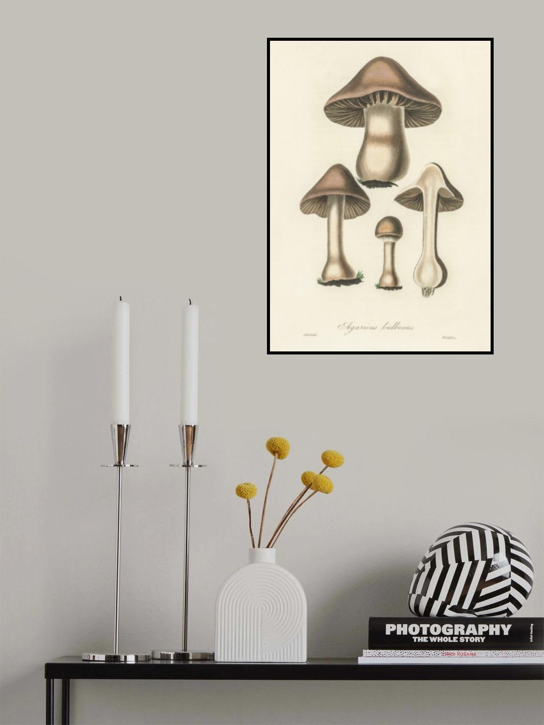 Agaricus Bulbosus Illustration. Medical Botany 1836 Poster och Canvastavla