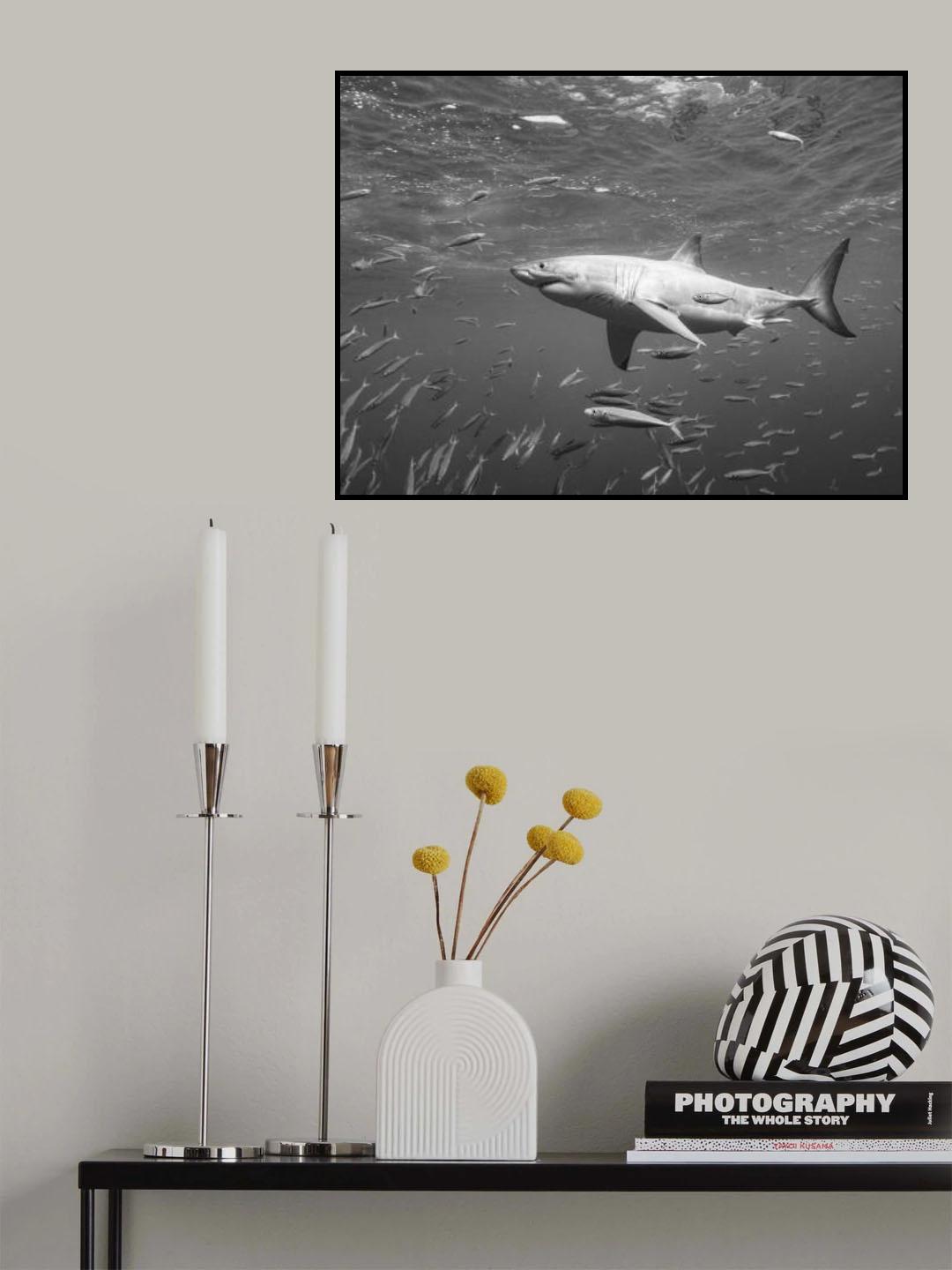 At the surface Poster och Canvastavla