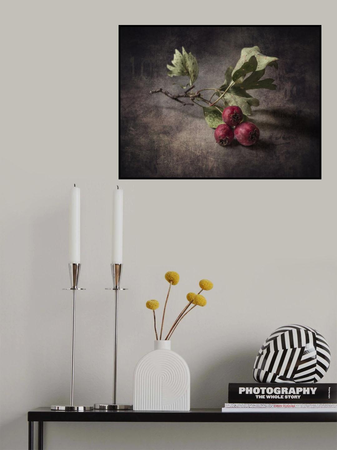 Sprig of hawthorn Poster och Canvastavla