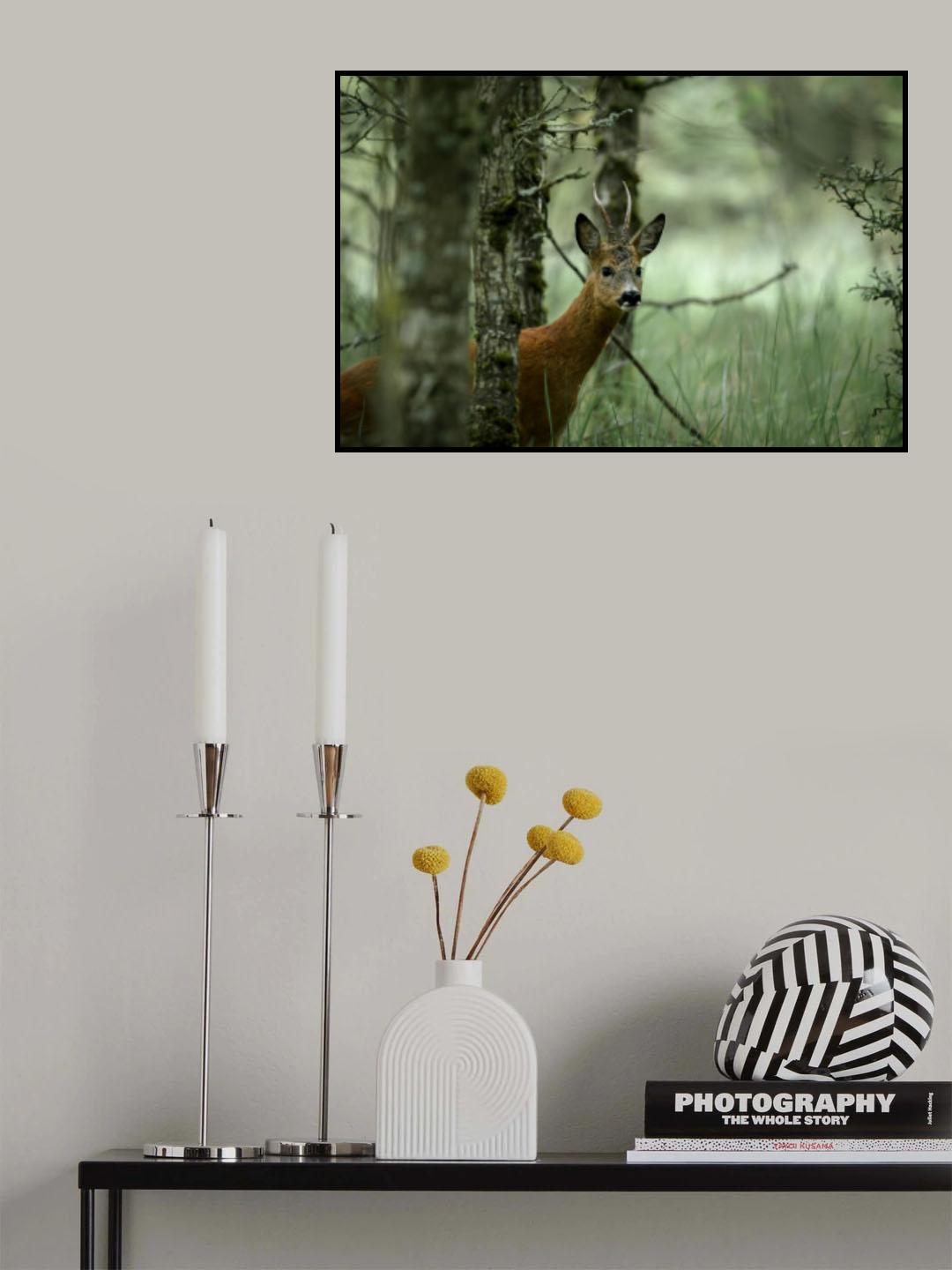 Roe deer Poster och Canvastavla