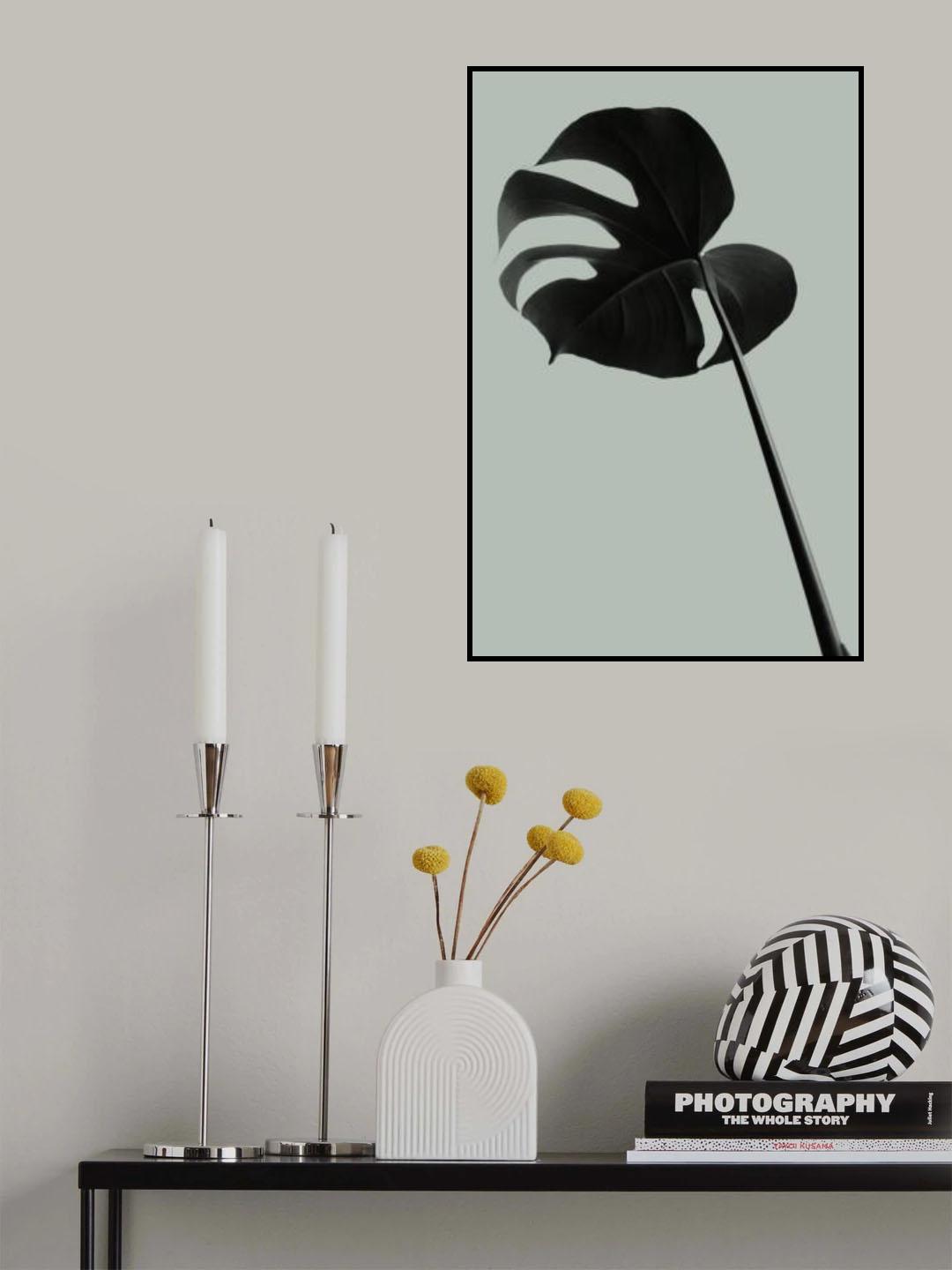 Monstera Teal 06 Poster och Canvastavla