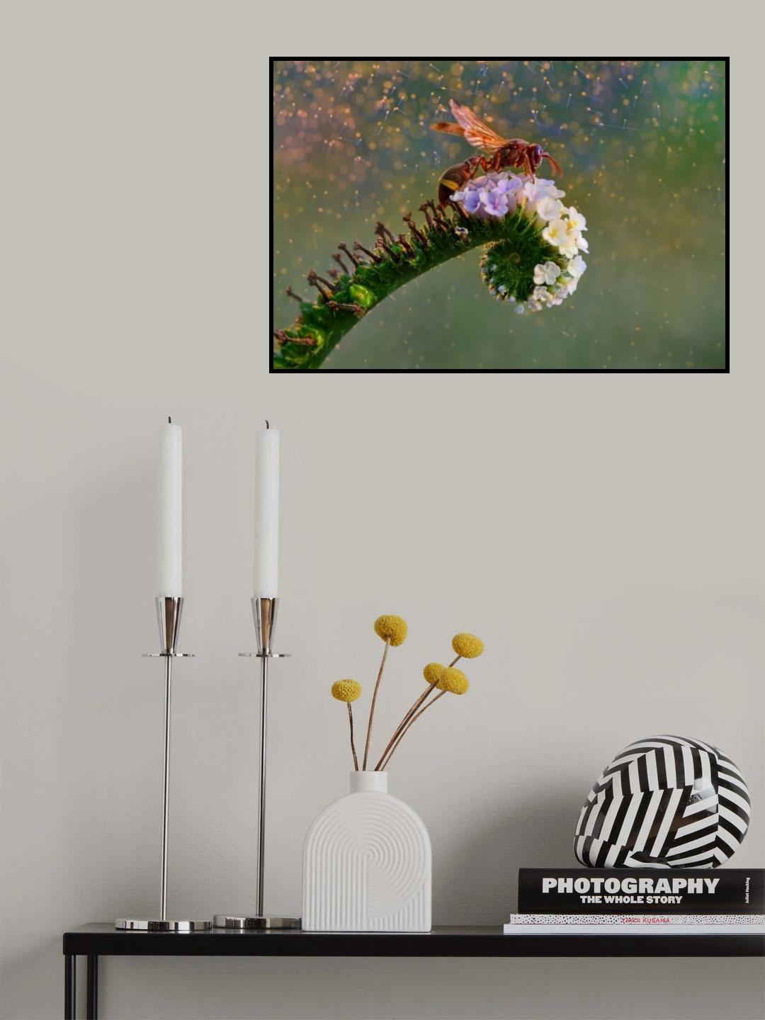 Rainy Poster och Canvastavla