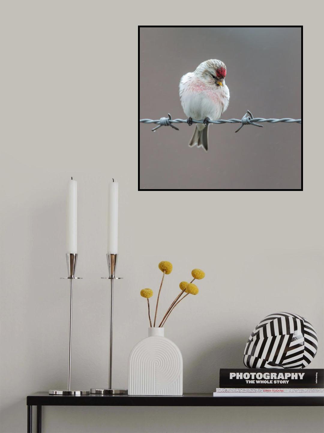 I don't like rain Poster och Canvastavla
