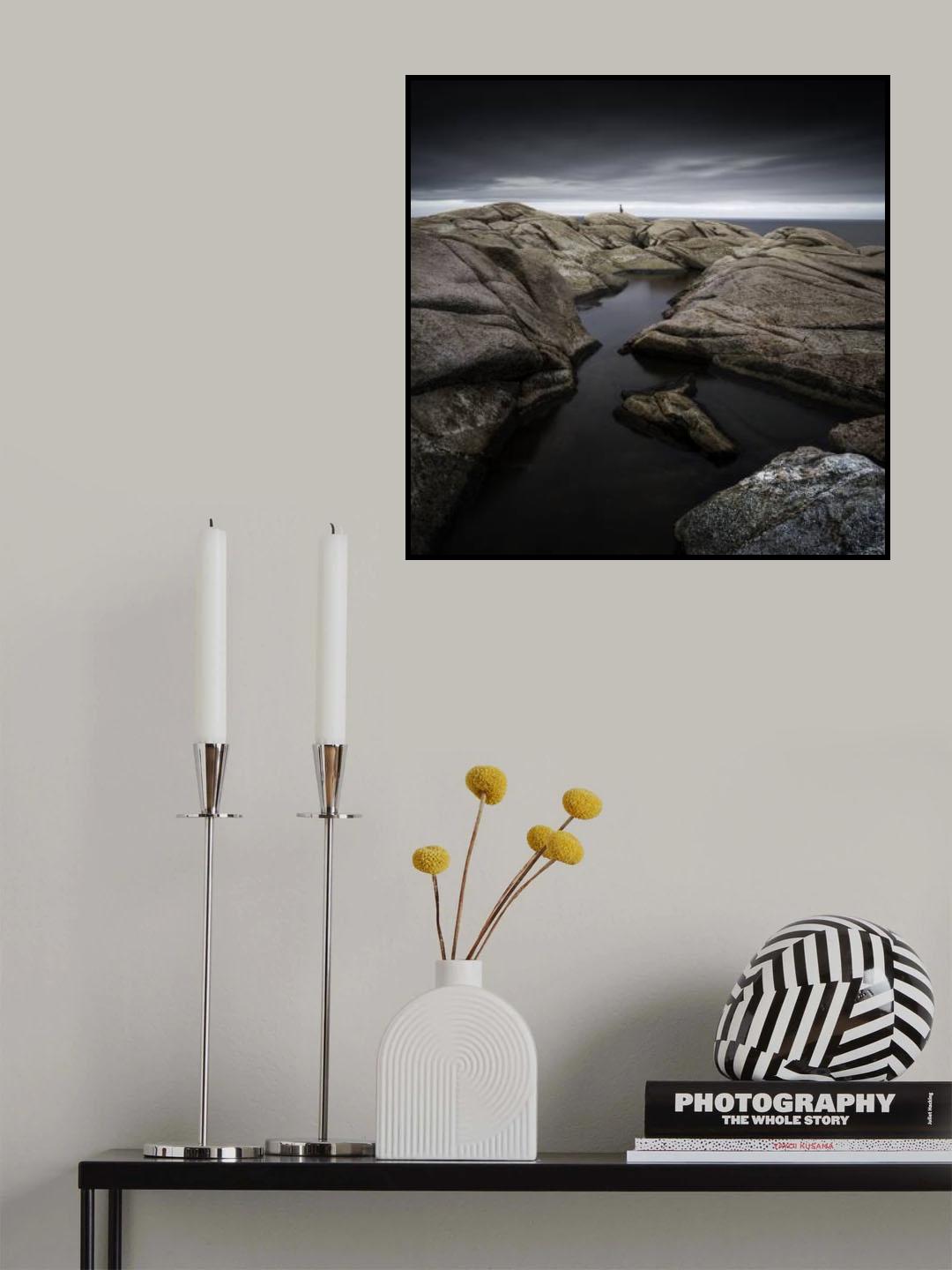 The Rocks And The Bird Poster och Canvastavla