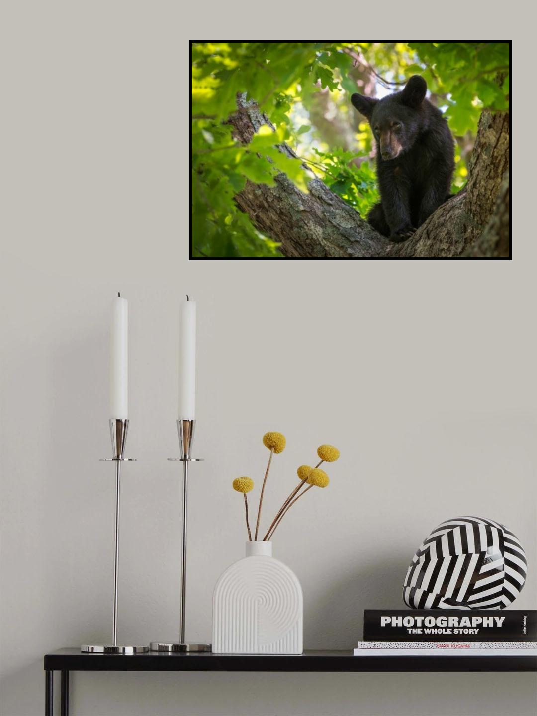 Quiet Moment Poster och Canvastavla