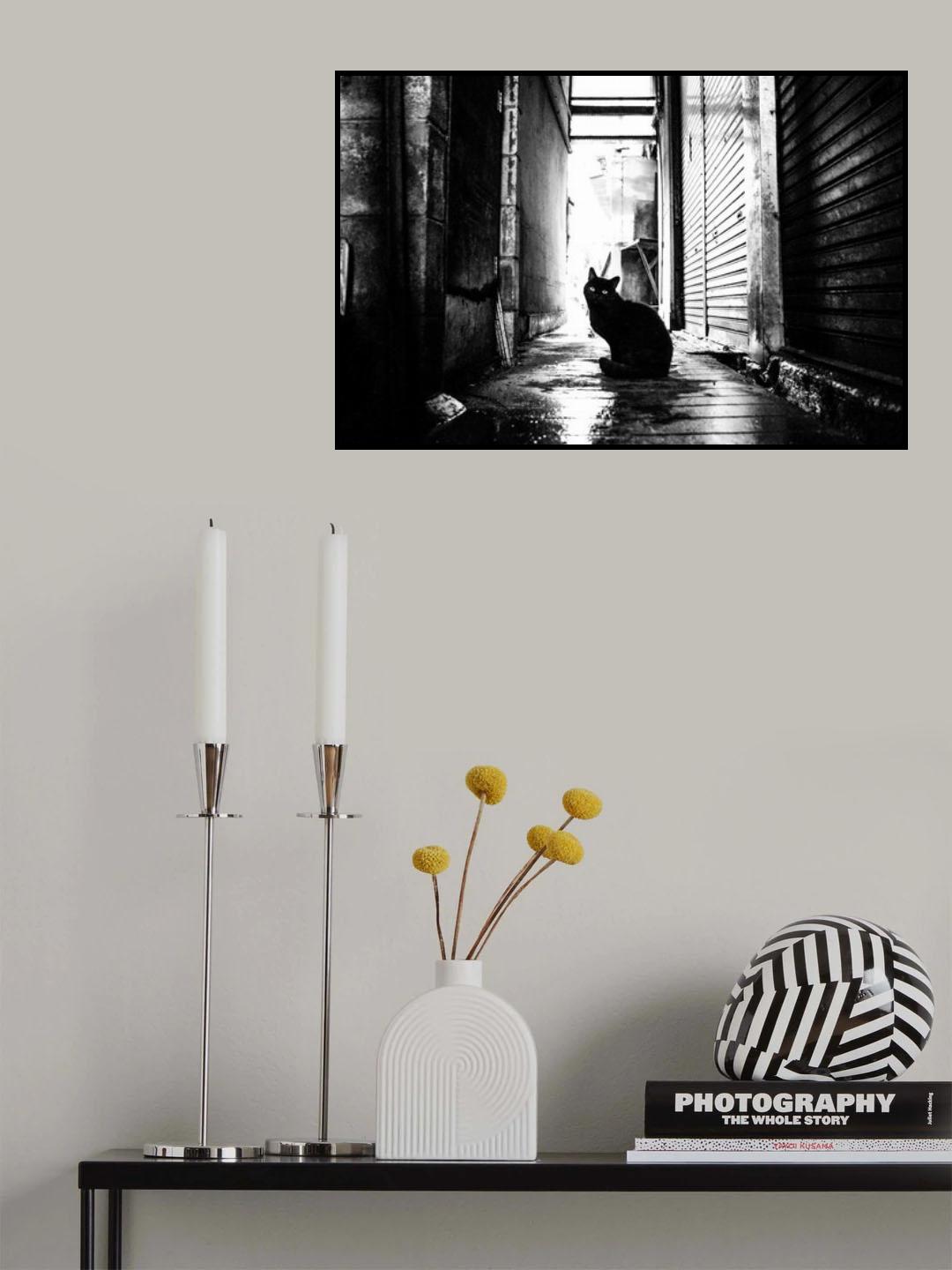street 10 Poster och Canvastavla