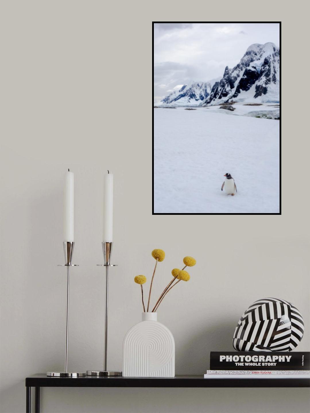 Silence Poster och Canvastavla