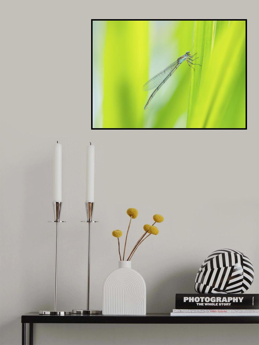 dragonfly Poster och Canvastavla