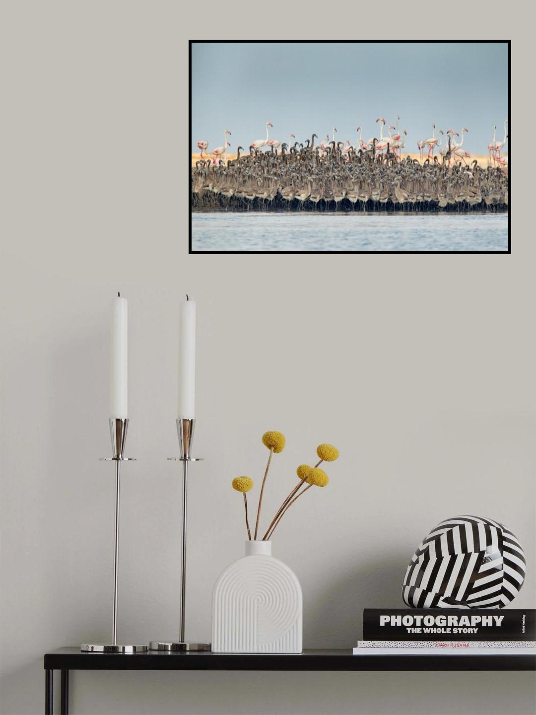 Flamingos nursery Poster och Canvastavla