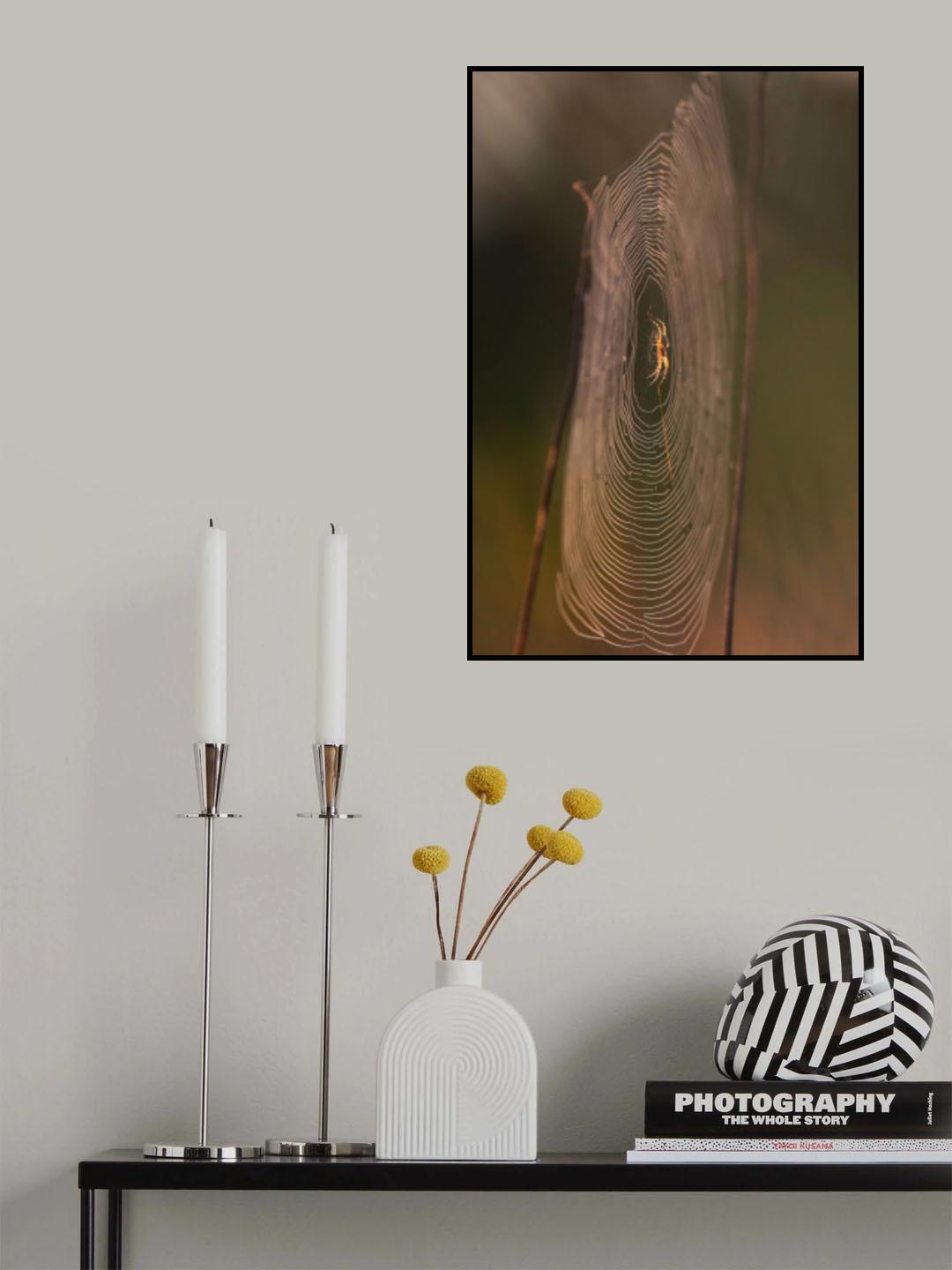 Golden spider Poster och Canvastavla