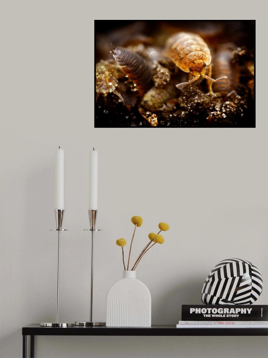 Under the rock Poster och Canvastavla